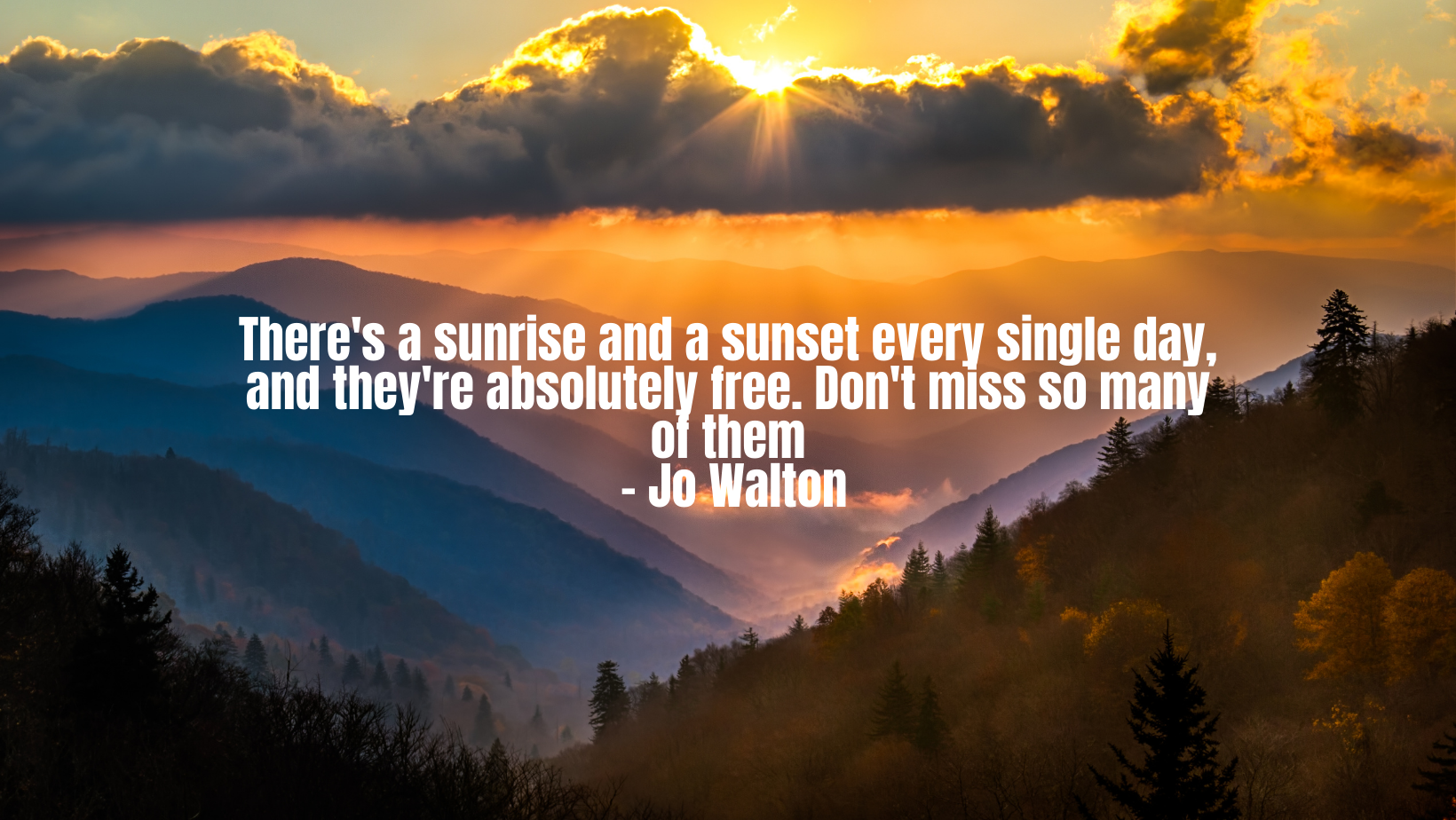 I am not the same, having seen the moon shine on the other side of the world” – Mary Anne Radmacher